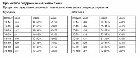 Мышечная масса норма у женщин