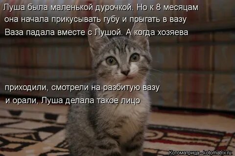 Про лушу