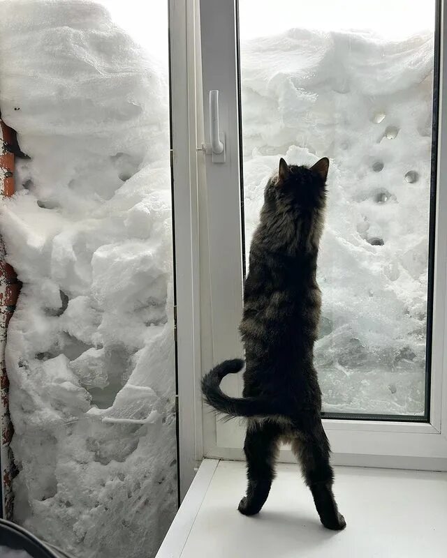 зима в сугробах прячется песня