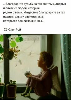 В каждом окне жизнь