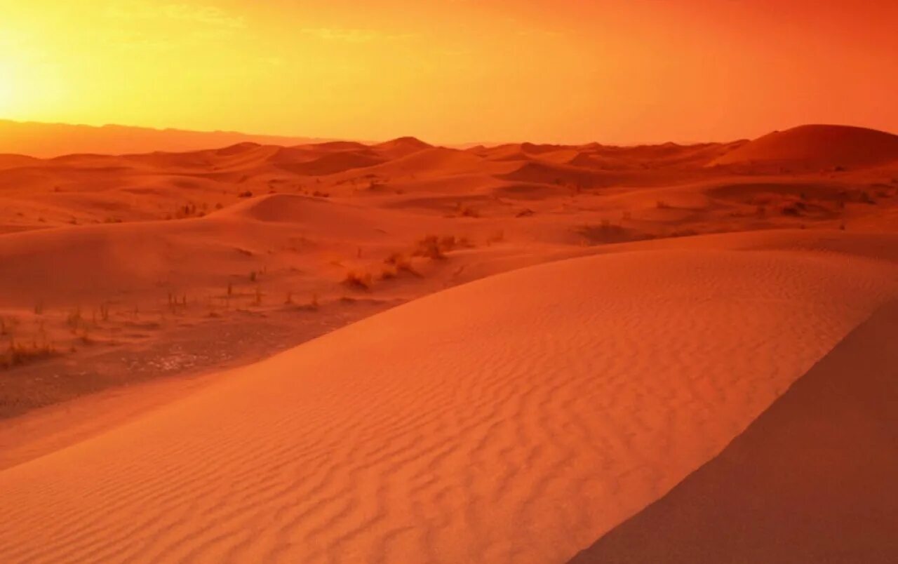 Какие климатические условия в пустыне. Пустыня сахара климат. Пустыня Мейсан. Калахари. Сахара полупустыни.