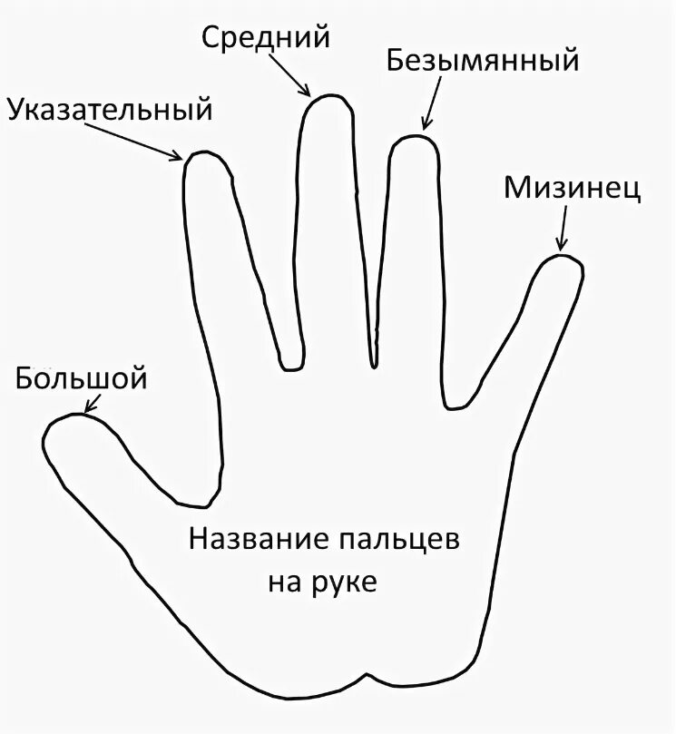 Указательный палец короче безымянного. Что значит безымянный человек. Что значит безымянный человек. Безымянный палец. Безымянный палец левой руки.