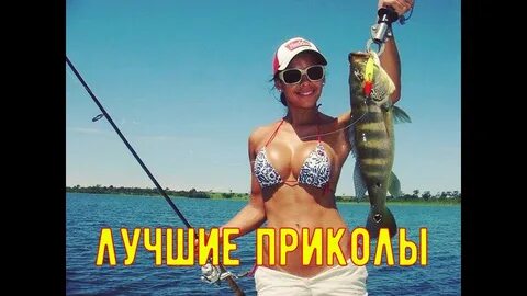 Рыба хорошо бравшая приманку перестала клевать