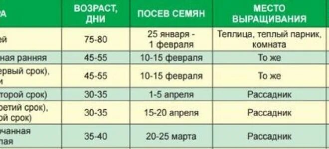 Когда сеют капусту на рассаду в каком. Сроки высадки рассады капусты в грунт. Сроки высадки в грунт рассады поздней капусты. Посев семян капусты на рассаду. Когда сажать капусту на рассаду позднюю.