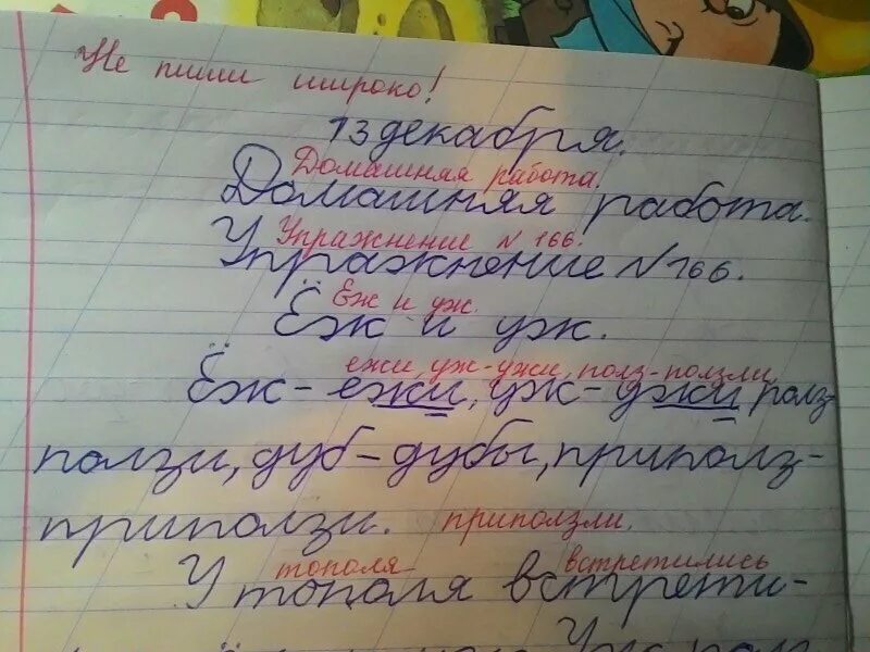 Можете записать. Тетрадь ученика. Почерк во втором классе. Почерк 2 класс. Почерк учителя.