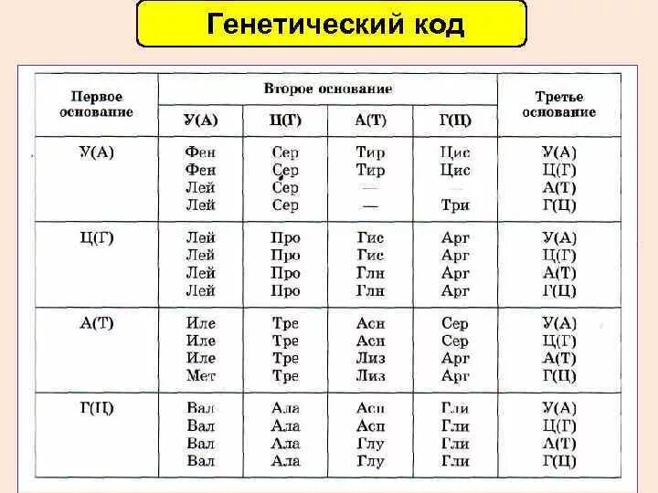 Генетический код примеры задач Сколько нуклеотидов кодируют полипептид
