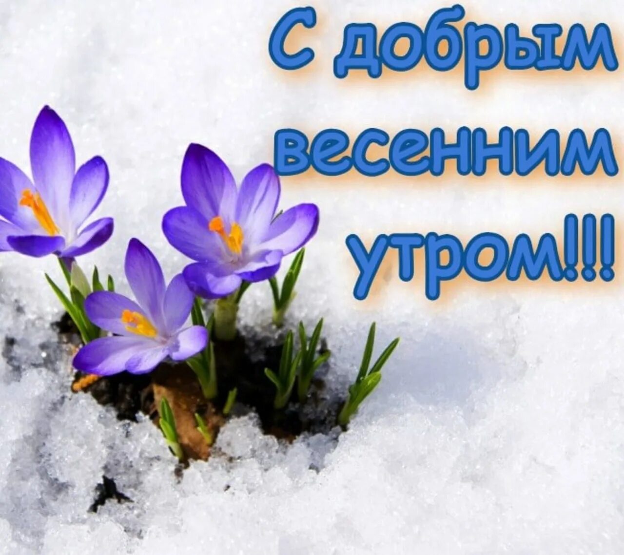 Доброе утро начало весны