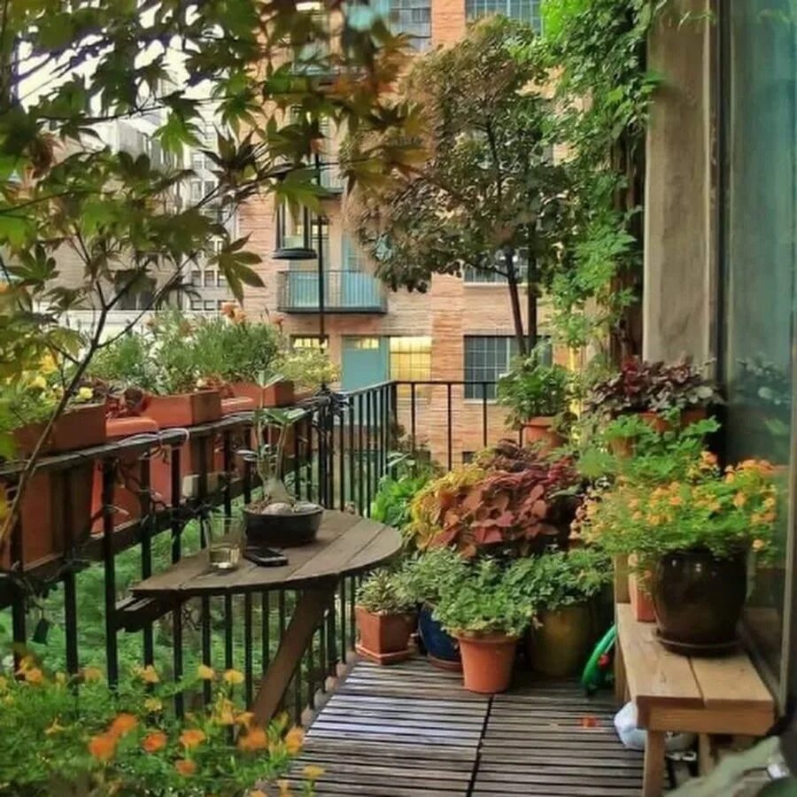 Balcony gardening. Сад на балконе. Озеленение балкона. Растения на балконе. Озеленение маленького балкона.