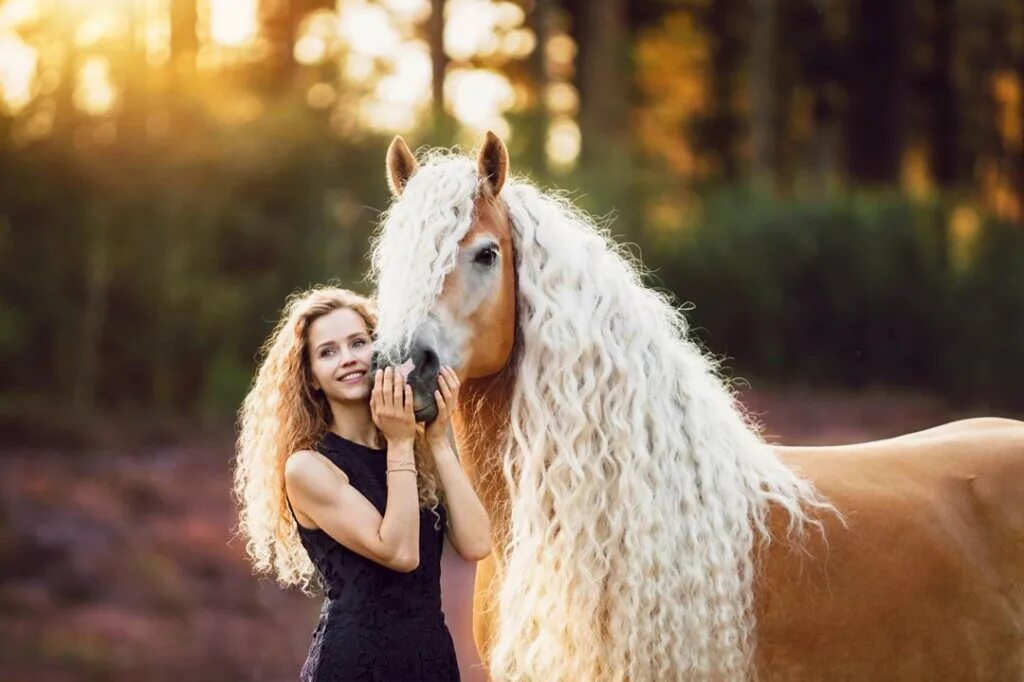 Horse hair. Лошадь с кудряшками. Лошадь с кудрявамиволосами. Лошадь с длинной гривой. Лошадь с кудрявой гривой.