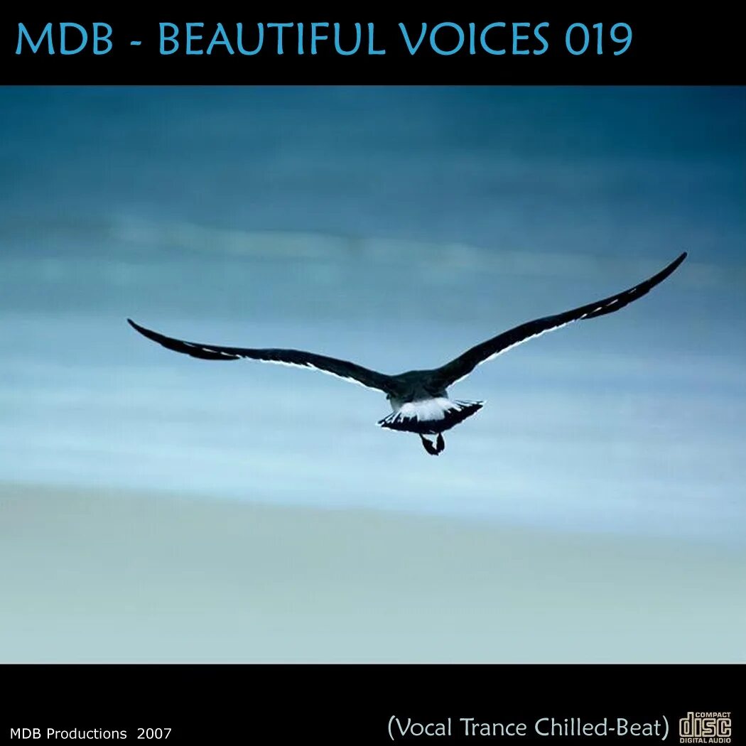 MDB - beautiful Voices 013. MDB beautiful Voices Snowflake. Beautiful Voices 045 playlist. Beautiful Voices 051 (Ambient-Chill Mix). Voices 19