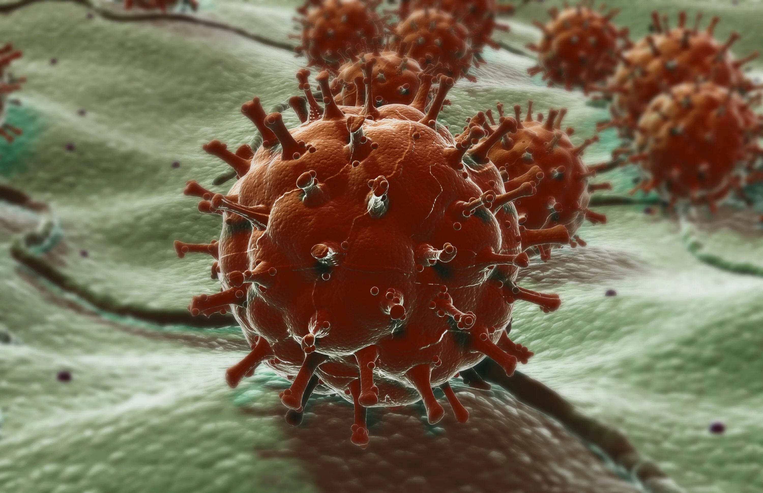 виросомы. вирусные 8 лет. вирусы названия. инфекция. вирус испанки под микроскопом.