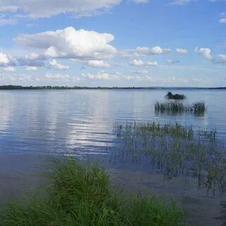 Белое озеро какая область