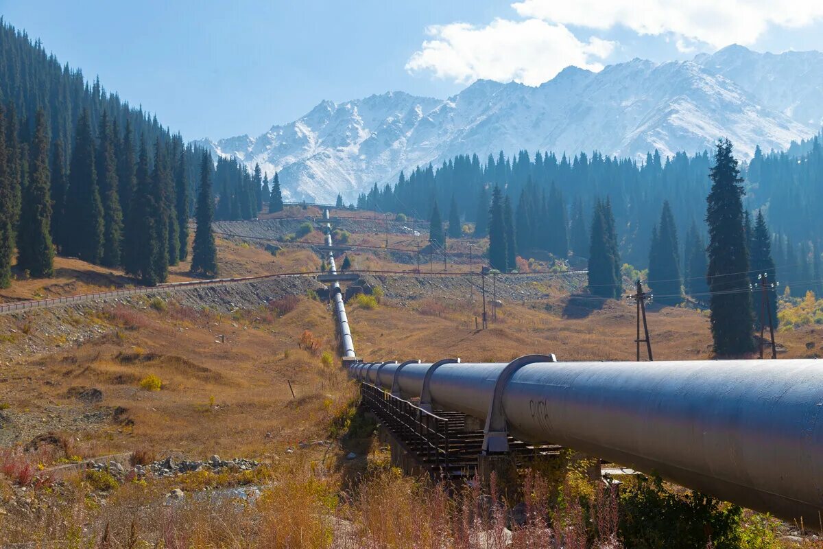 Universal pipeline