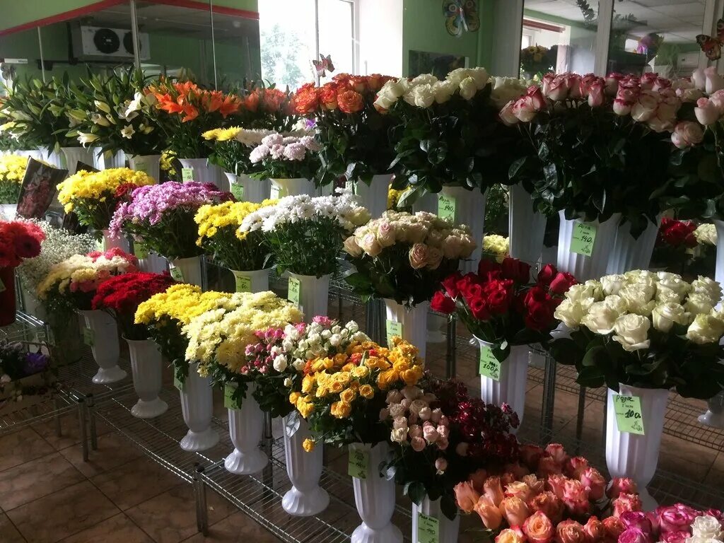 академика крылова, 3к2. сертолово цветочный магазин. комендантский проспект 51 магазин цветы. магазин цветов. цветочная база на комендантском проспекте спб.