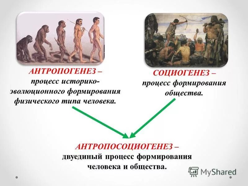 Социогенез этапы развития таблица. Основные этапы социогенеза. Этапы развития социогенеза. Антропогенез и социогенез обществознание. Социогенез процесс.