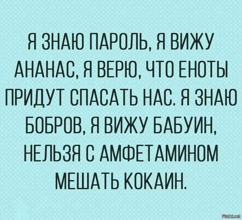 Я знаю пароль я вижу ананас. Я знаю пароль я вижу ананас. Я знаю пароль я вижу ананас я верю что еноты придут спасать. Я знаю я вижу ананас. Я знаю пароль я вижу ананас я верю что еноты придут спасать нас.