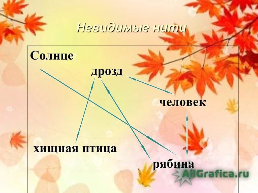 Пример невидимых нитей лесу. Невидимые нити в осеннем лесу. Невилимые ни и в осеннем оесу. Невидимые нити схема. Невидимые нити в осеннем лесу 2 класс.