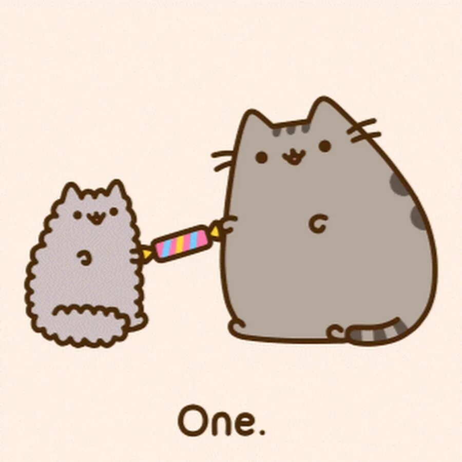 Гарри поттер кот пушин гиф. Милые живые стикеры. Кот пушин гифки. Кот пушин гиф. Няшный котик с сердечком.