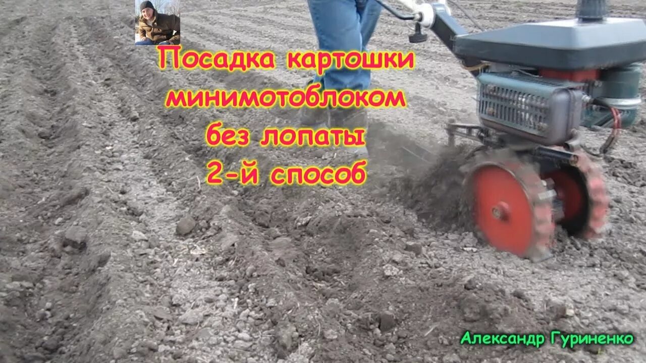 Как сажать картошку лопатой видео