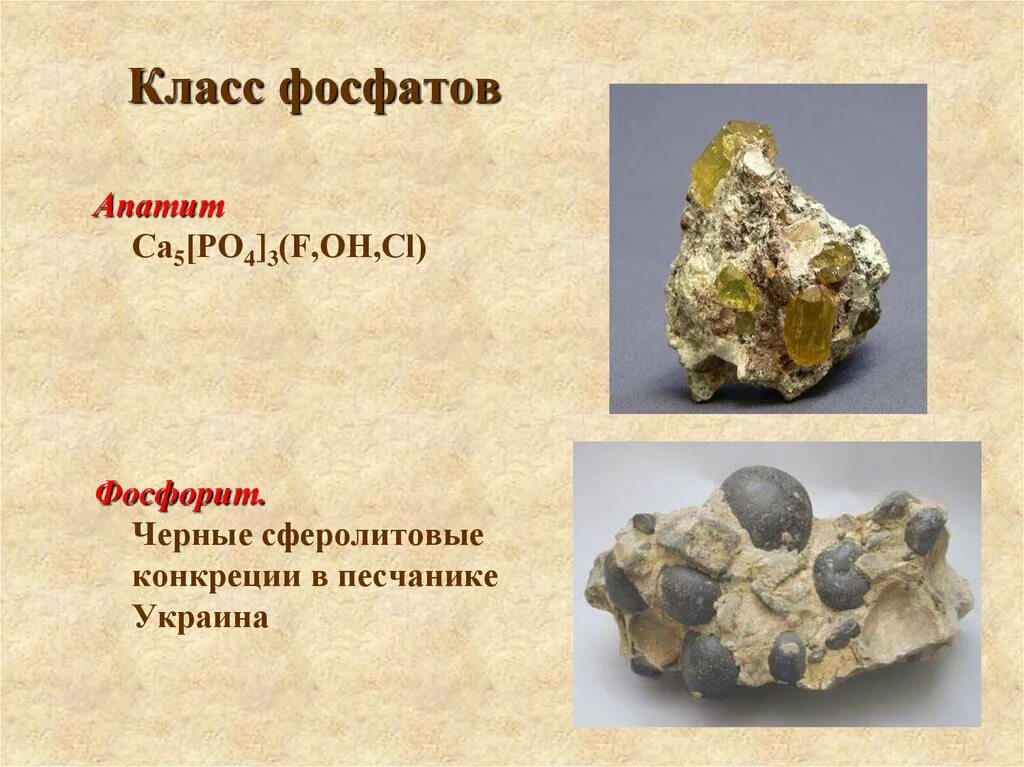 Минерал класса фосфатов 6 букв. Фосфориты и апатиты формулы. минерал фосфорита формула. фосфориты и апатиты. класс фосфатов.