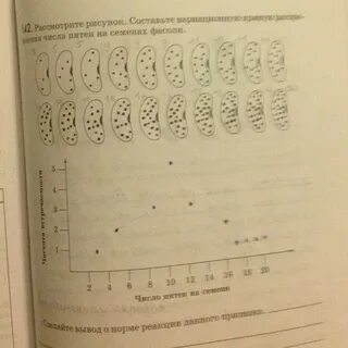 Рассмотрите рисунок 24 рассчитайте