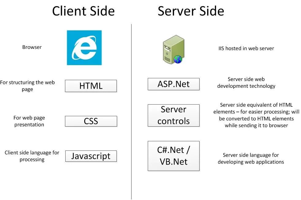 Server side. Client side. client and server side. программа sides client.
