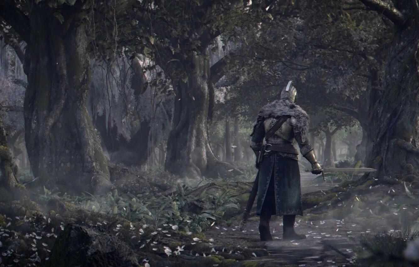 Dark Souls 2. Dark Souls 2 Trailer. Dark Souls 2 2. Одинокий воин арт Dark Souls. Back souls