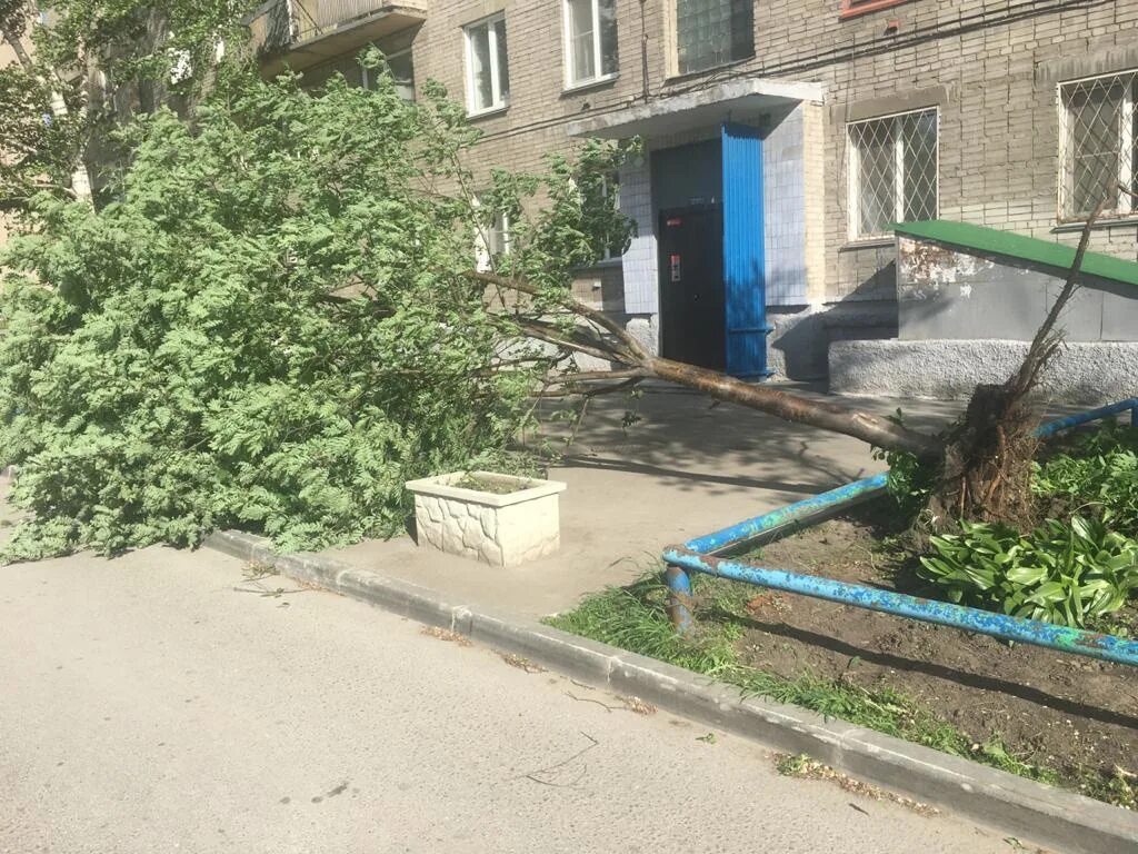 Бердск новосибирск. Сильный ветер в бердске. Дождь в бердске. Пыльная буря. Буря в бердске.