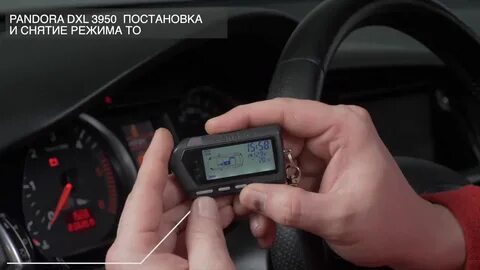 Пандора сервисный