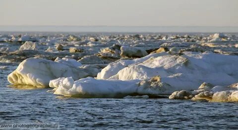 Белое море море лаптевых