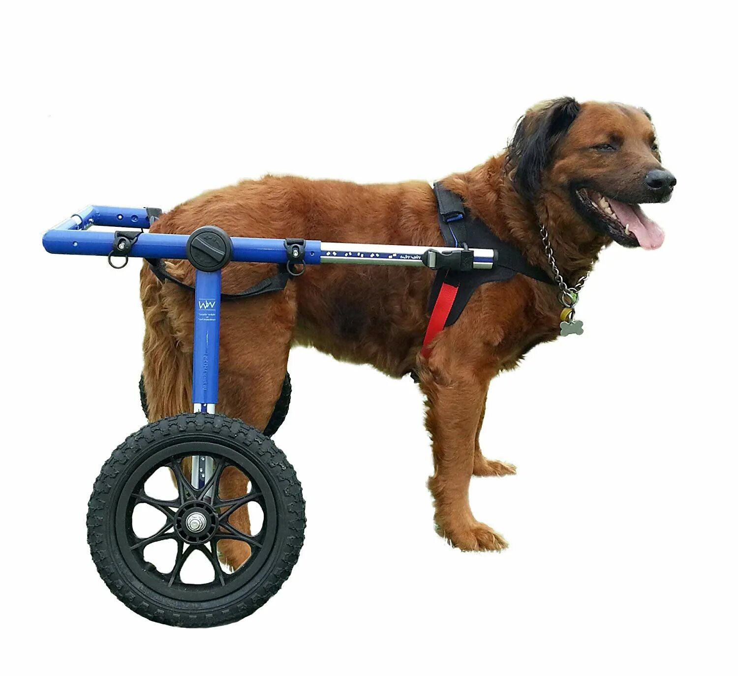 Инвалидная коляска для собак Walkin Wheels. Инвалидные коляски Dog wheelchairs. Коляска для собак Walkin' Wheels. Хот Вилс инвалидная коляска. К1 купить для собак