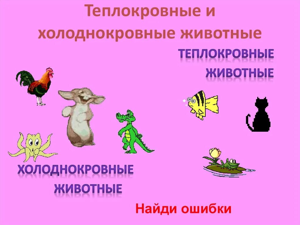 Теплокровными животными называются