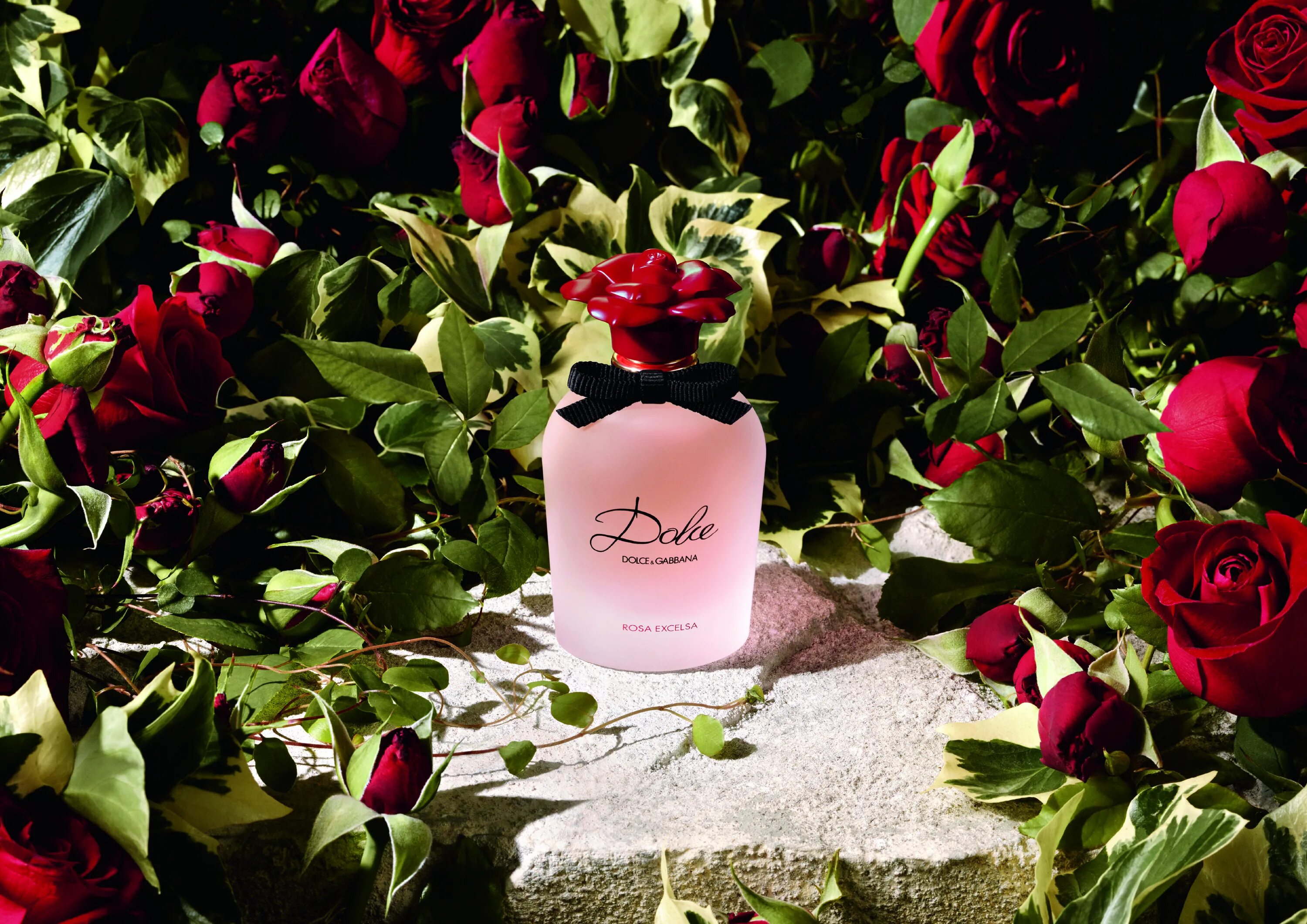 Духи дольче розовые. Dolce Gabbana духи Rosa Excelsa. Dolce Rosa Excelsa от Dolce&Gabbana. Дольче Габбана цветочный аромат.