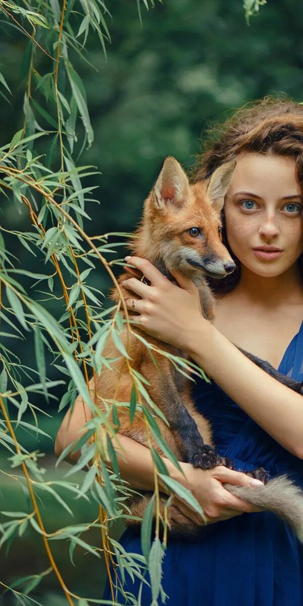 Fox model