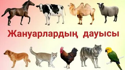 Керемет жезөкшеге ренжіді