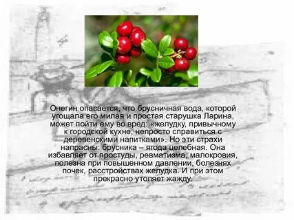 Какой водой угощают онегина в доме