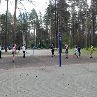 Дол молодежное ленинградская область