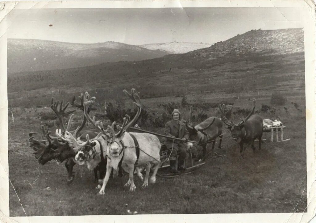 Народы Урала вогулы (манси). Ханты (остяки). Манси (вогулы). Коренные народы Урала вогулы манси. Манси Северный Урал.