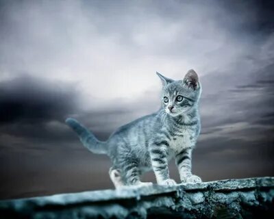 Baby sky