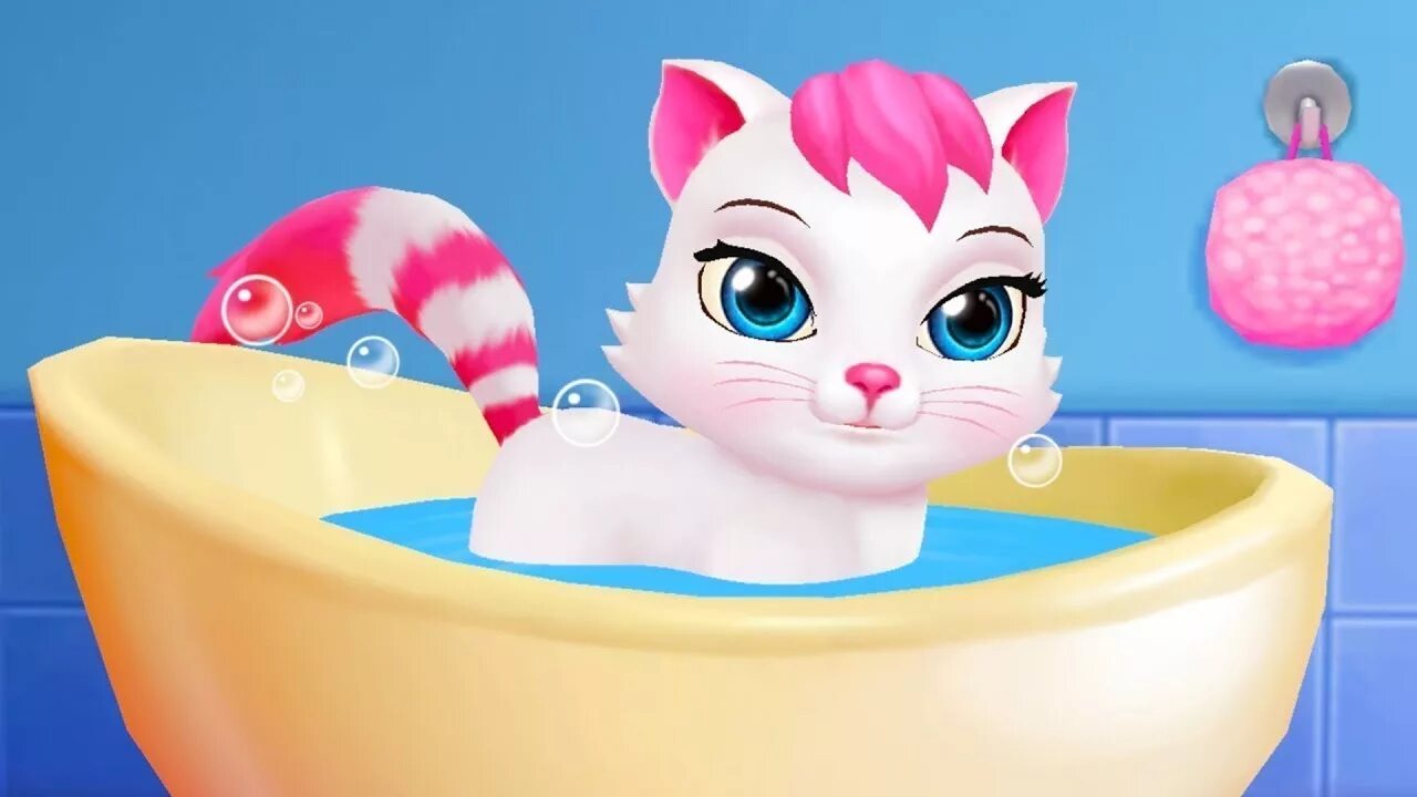 Включи видео игру кота. Включи видео игру кота