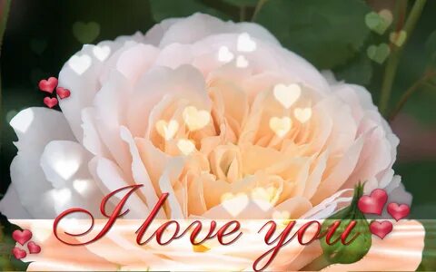 Your flowers