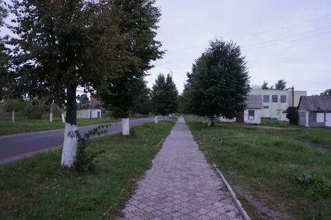 Город дружба