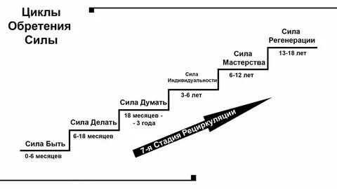 Циклы силы читать