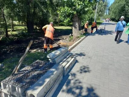 Зеленый остров омск 2024