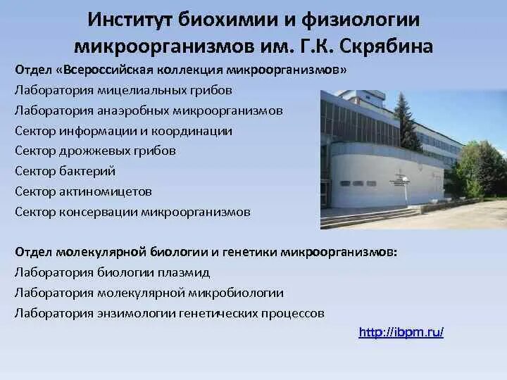 Московский институт биоорганической химии ран. Пущино институт биохимии и физиологии микроорганизмов. Скрябина. Институт микробиологии пущино. Пущино академия наук.