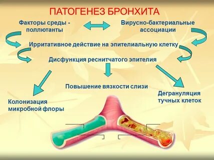 Этиология бронхита у детей
