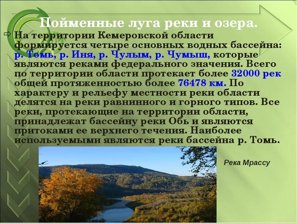 Область информация. Природные зоны кемеровской области. сообщение о кузбассе. сообщение о кемеровской области. проект кемеровская область.