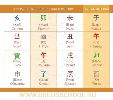 Цветок персика ба