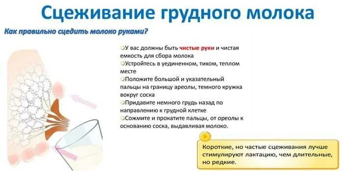 Как быстро сцедить молоко. Как сцеживать грудное молоко. техника сцеживания грудного молока. сцеживать грудное молоко руками. как правильно сцеживать молоко.
