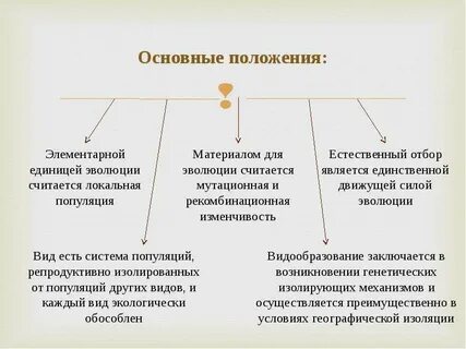 Синтетическая теория эволюции элементарная единица
